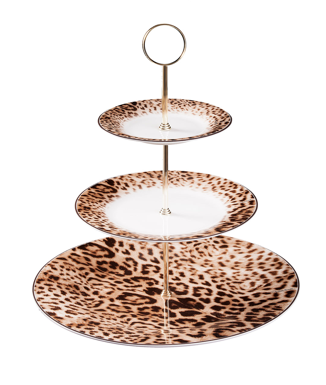 ROBERTO CAVALLI