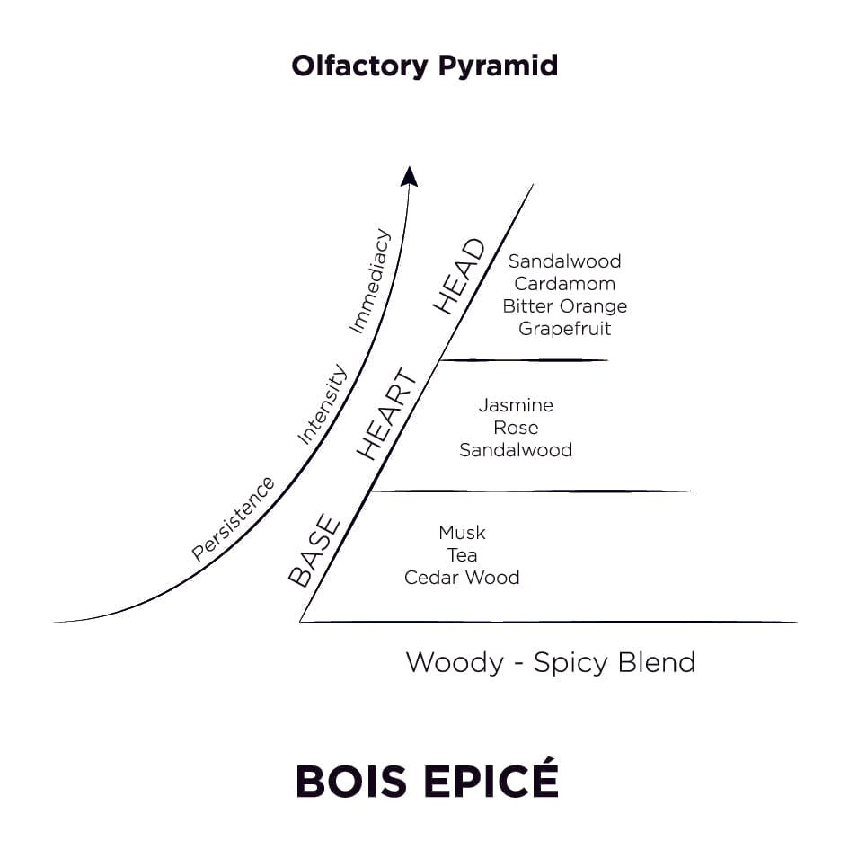 Bois Epice Olfactory Pyramid – 250 ml Diffuser