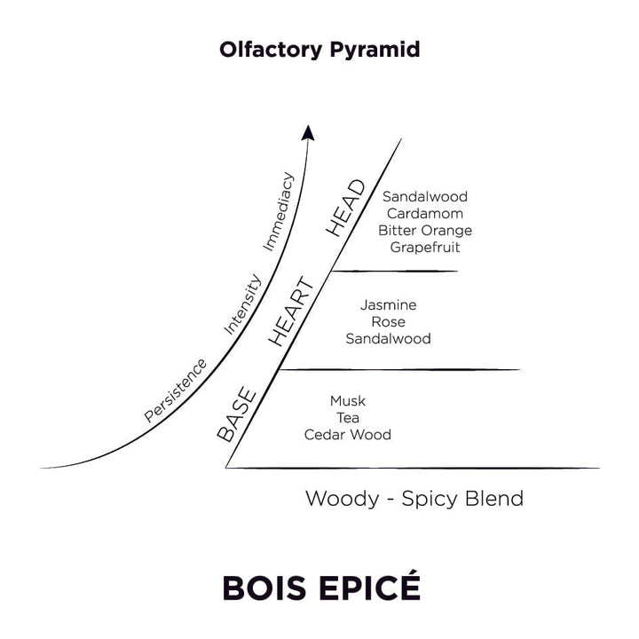 Bois Epice Olfactory Pyramid be