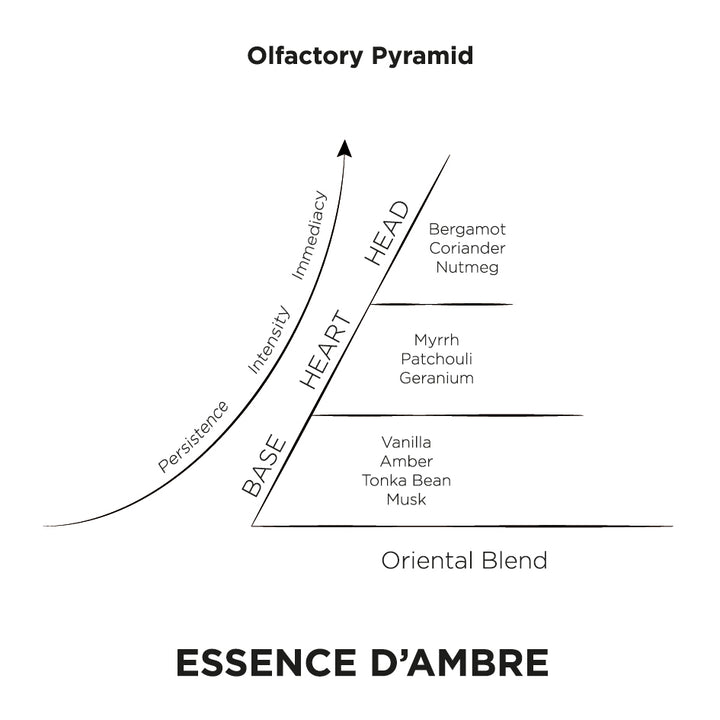 Essenced Ambre Olfactory Pyramid