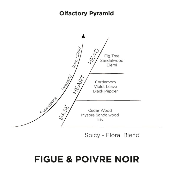 Figue Poivre Noir Olfactory Pyramid