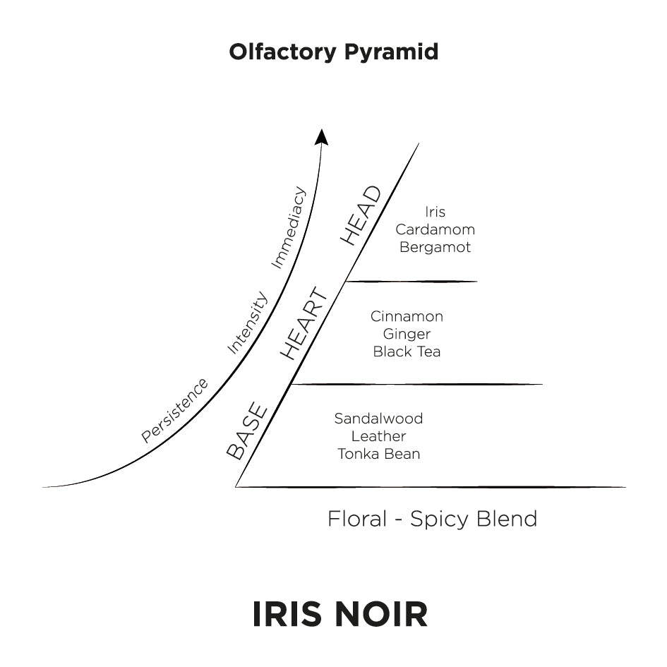 Iris Noir Olfactory Pyramid