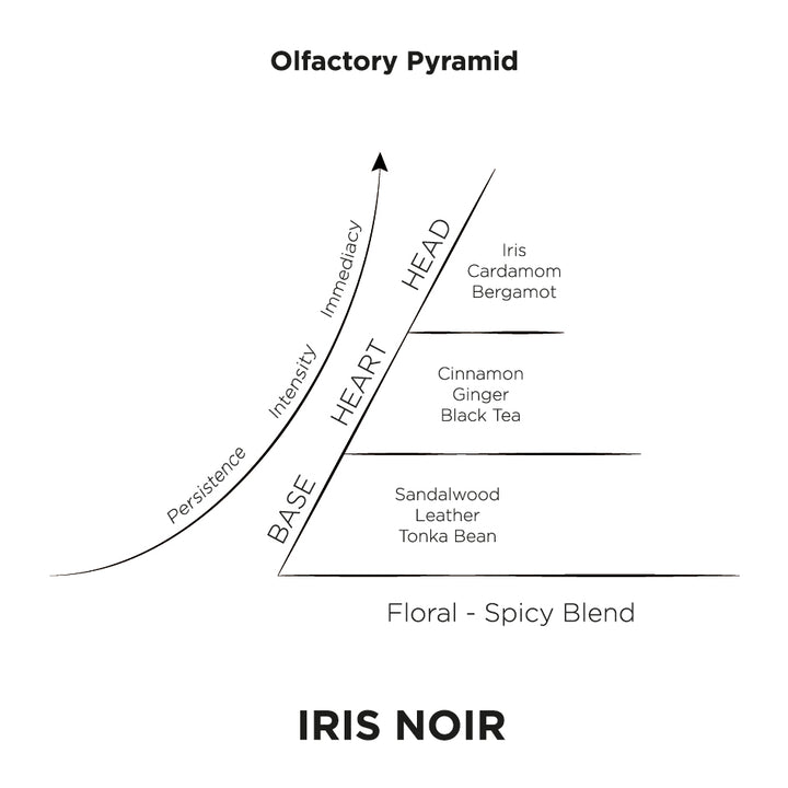 Iris Noir Olfactory Pyramid – 250 ml Diffuser