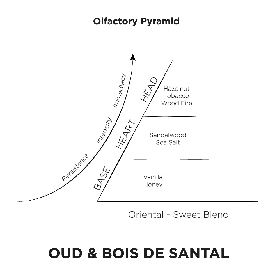 Oud Bois de Santal Olfactory Pyramid