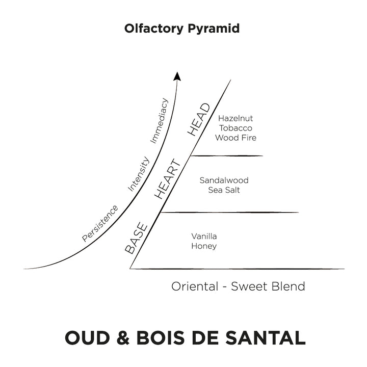Oud Bois de Santal Olfactory Pyramid
