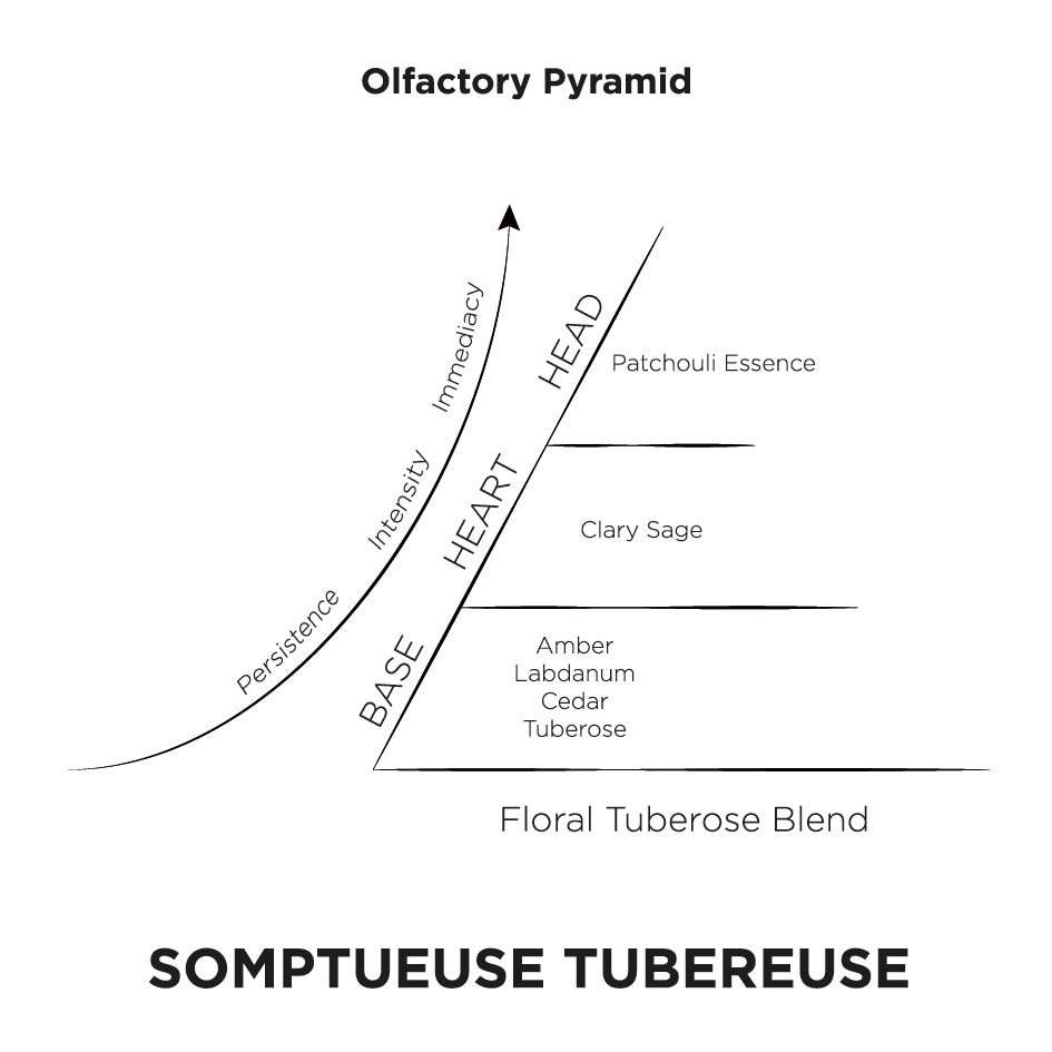 Sompteuse Tubereuse Olfactory Pyramid