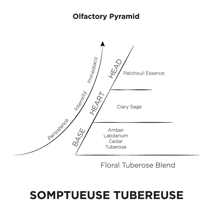 Somptueuse Tubereuse Olfactory Pyramid